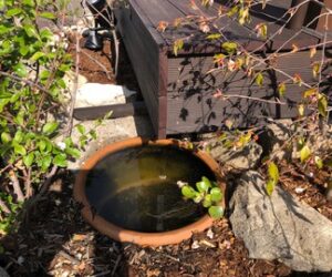 事務所での雨水利用