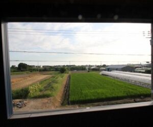 竜が岡の家、ベランダからの眺め