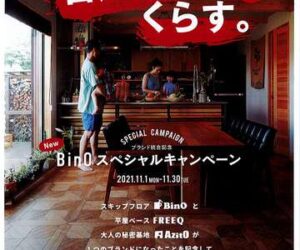 BinOスペシャルキャンペーン　11/1～