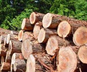 「木の家は健康に良い理由」のセミナー内容