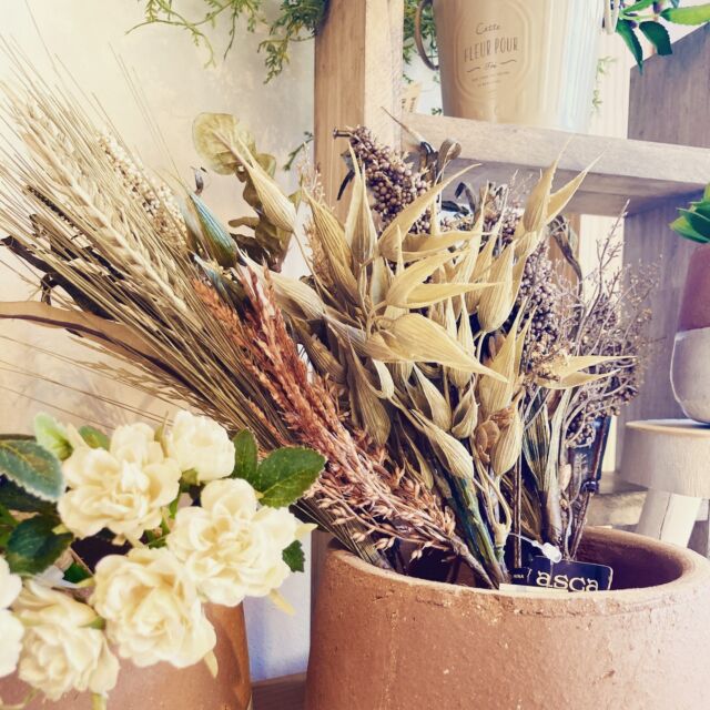 .
秋冬向けのインテリアフラワーで季節を楽しんでみませんか🍂
少し秋めいたお色味のリーフや
シルバーがかったグリーン
赤い実の枝ものなど色々ご用意しております😊

飾り棚に這わせるのもgoodですね✨

•••••

お問い合わせは
・お電話
・ホームページよりメール
・インスタグラムからのDM
にてお受けしております

TEL:078-937-1660
HP:プロフィールURLよりお越しください

@wakutas.akashi

#こうもりらん#コウモリランのある暮らし#グリーンインテリア #吊るすグリーン#フェイクグリーン#アレンジメント#グリーンアレンジ#インテリアグリーン#赤い実が好き #明石の雑貨屋さん#雑貨屋さん巡り#フェイクフラワー#シルバーグリーン#枝もののある暮らし#スワッグ#観葉植物インテリア

#明石の雑貨店 #明石市 #神戸市 #神戸市西区⠀
#垂水 #播磨町 #稲美町 #加古郡 #加古川市 #高砂市 #姫路市
