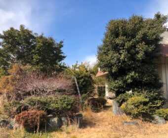 春に向けて日本庭園のbefore＆after！