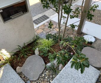 植栽と外構のススメ