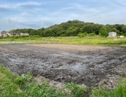 田植えの準備