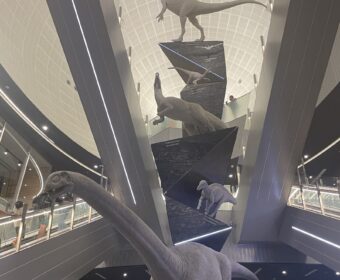 恐竜と絶景の旅☆