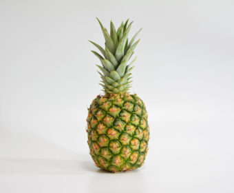 ﾊﾟｲﾝ・・・あれ？