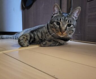 吾輩は「豆」である②