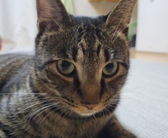 吾輩は「豆」である①