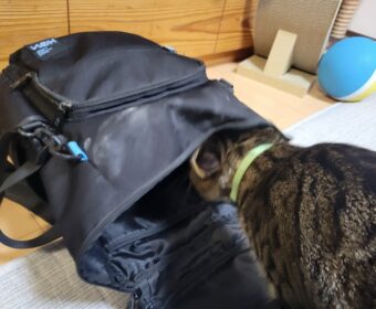 吾輩は「豆」である④