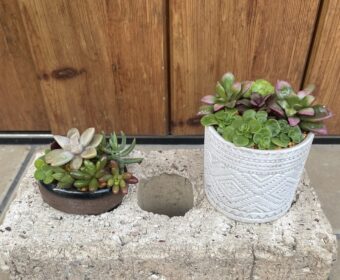 マメでなくても・・・