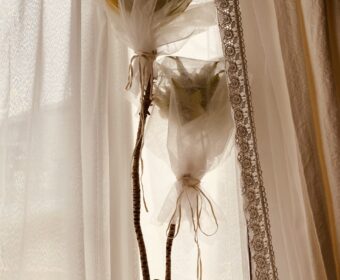 植物もそろそろ冬支度🍂