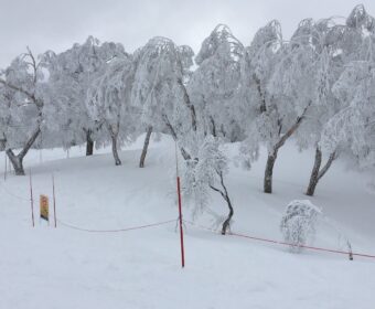 ちゃんときたね・・・