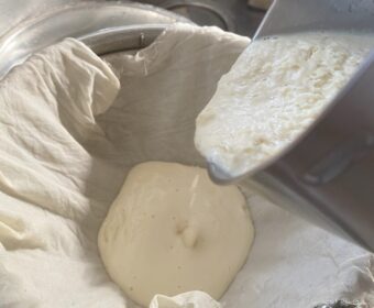 ブラックフライデーで買ったもの