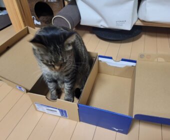 吾輩は「豆」である⑭