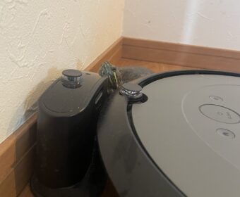 我が家の暴れん坊