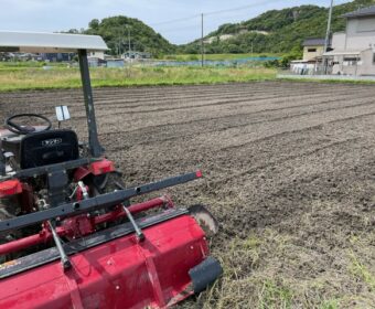 今年も豊作でありますように。