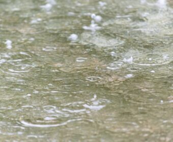 雨の日に聴きたくなる曲