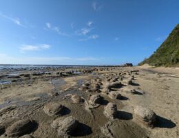 島根の国指定文化財