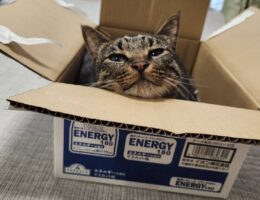 吾輩は「豆」である㉓