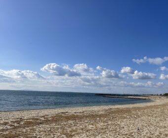 砂浜を歩く時の可愛さ