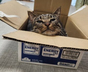 吾輩は「豆」である㉜