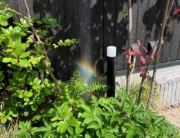 5月のある朝