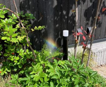 5月のある朝