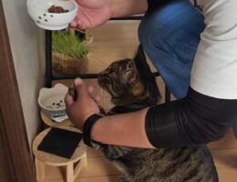吾輩は「豆」である㉞