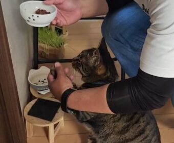 吾輩は「豆」である㉞