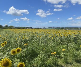 良いタイミング