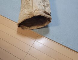 吾輩は「豆」である㊱