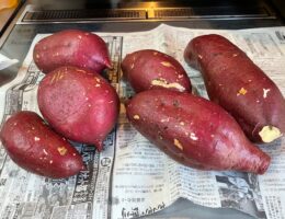 子供たちの好物