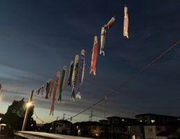 飽きることなく。