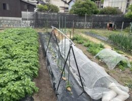 今年もＧＷは