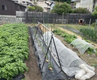 今年もＧＷは