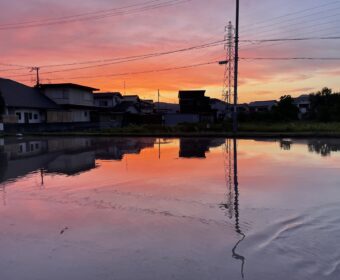 代掻きのご褒美？