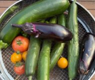 野菜