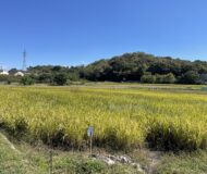 あれから１年