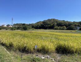 あれから１年